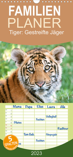 Familienplaner Tiger: Gestreifte Jäger (Wandkalender 2023 , 21 cm x 45 cm, hoch) von CALVENDO