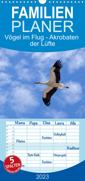Familienplaner Vögel im Flug – Akrobaten der Lüfte (Wandkalender 2023 , 21 cm x 45 cm, hoch) von Kuttig,  Siegfried