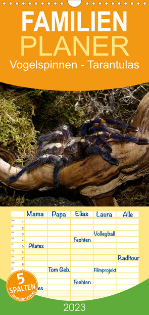 Familienplaner Vogelspinnen – Tarantulas (Wandkalender 2023 , 21 cm x 45 cm, hoch) von Trapp,  Benny