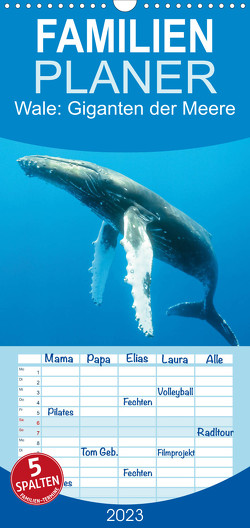 Familienplaner Wale: Giganten der Meere (Wandkalender 2023 , 21 cm x 45 cm, hoch) von CALVENDO