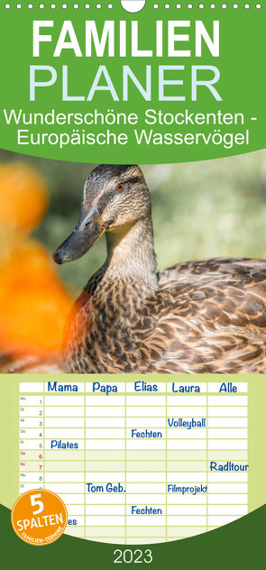 Familienplaner Wunderschöne Stockenten – Europäische Wasservögel (Wandkalender 2023 , 21 cm x 45 cm, hoch) von pixs:sell