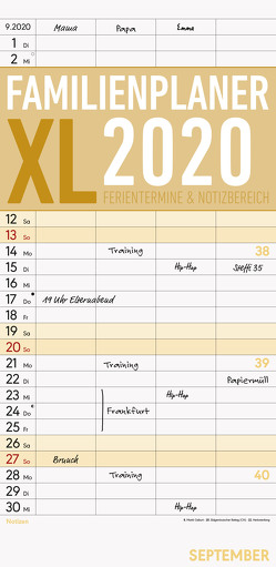 Familienplaner XL 2020 mit 4 Spalten – Offset-Papier – Familienkalender – Familientimer (22 x 45) – mit Ferienterminen – 4 Spalten – Wandplaner von ALPHA EDITION