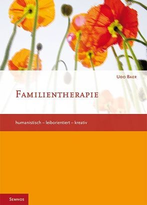 Familientherapie von Baer,  Udo