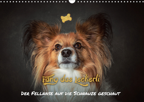 Fang das Leckerli! (Wandkalender 2019 DIN A3 quer) von Schöberl,  Jürgen