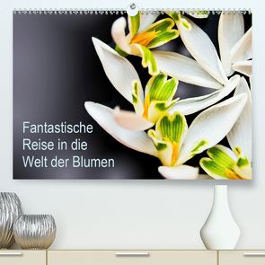 Fantastische Reise in die Welt der Blumen (Premium, hochwertiger DIN A2 Wandkalender 2021, Kunstdruck in Hochglanz) von Klöppel,  Anke