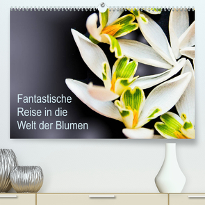 Fantastische Reise in die Welt der Blumen (Premium, hochwertiger DIN A2 Wandkalender 2022, Kunstdruck in Hochglanz) von Klöppel,  Anke