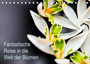 Fantastische Reise in die Welt der Blumen (Tischkalender 2022 DIN A5 quer) von Klöppel,  Anke
