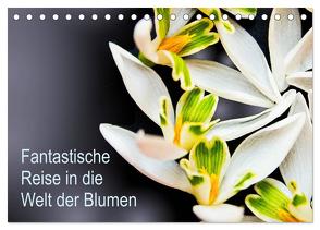 Fantastische Reise in die Welt der Blumen (Tischkalender 2024 DIN A5 quer), CALVENDO Monatskalender von Klöppel,  Anke
