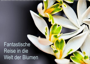 Fantastische Reise in die Welt der Blumen (Wandkalender 2022 DIN A2 quer) von Klöppel,  Anke