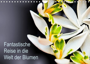 Fantastische Reise in die Welt der Blumen (Wandkalender 2023 DIN A4 quer) von Klöppel,  Anke