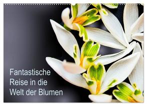 Fantastische Reise in die Welt der Blumen (Wandkalender 2024 DIN A2 quer), CALVENDO Monatskalender von Klöppel,  Anke