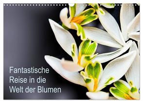 Fantastische Reise in die Welt der Blumen (Wandkalender 2024 DIN A3 quer), CALVENDO Monatskalender von Klöppel,  Anke