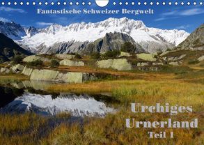 Fantastische Schweizer Bergwelt – Urchiges Urnerland – Teil 1 (Wandkalender 2019 DIN A4 quer) von Friederich,  Rudolf