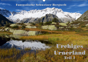 Fantastische Schweizer Bergwelt – Urchiges Urnerland – Teil 1 (Wandkalender 2021 DIN A2 quer) von Friederich,  Rudolf