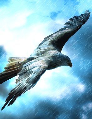 Fantasy Notizbuch: Adler im Sturm – weiße Seiten mit Eckmotiv von Sternenfeuer,  Samuriel