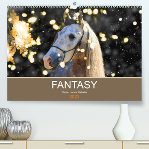 FANTASY Pferde Horses Caballos (Premium, hochwertiger DIN A2 Wandkalender 2023, Kunstdruck in Hochglanz) von Eckerl Tierfotografie,  Petra