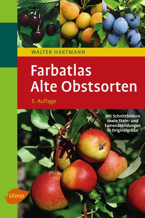 Farbatlas Alte Obstsorten von Hartmann,  Walter