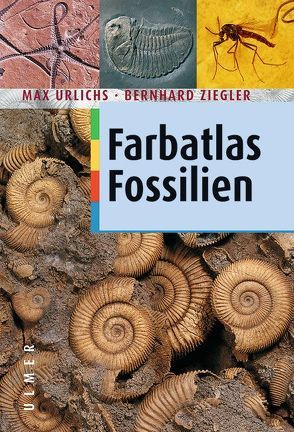 Farbatlas Fossilien von Urlichs,  Max, Ziegler,  Bernhard