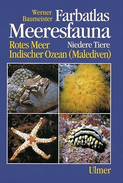 Farbatlas Meeresfauna. Rotes Meer, Indischer Ozean (Malediven) / Niedere Tiere von Baumeister,  Werner