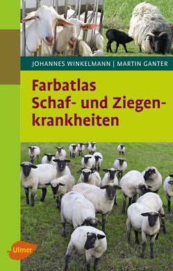 Farbatlas Schaf- und Ziegenkrankheiten von Ganter,  Martin, Winkelmann,  Johannes