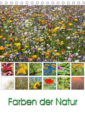 Farben der Natur (Tischkalender 2019 DIN A5 hoch) von Klinder,  Thomas