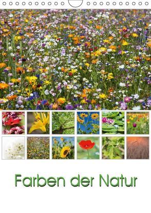 Farben der Natur (Wandkalender 2018 DIN A4 hoch) von Klinder,  Thomas