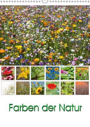 Farben der Natur (Wandkalender 2019 DIN A3 hoch) von Klinder,  Thomas