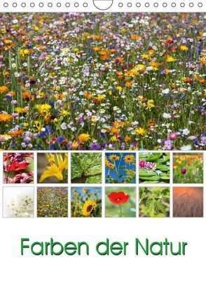 Farben der Natur (Wandkalender 2019 DIN A4 hoch) von Klinder,  Thomas