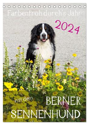 Farbenfroh durch’s Jahr mit dem Berner Sennenhund (Tischkalender 2024 DIN A5 hoch), CALVENDO Monatskalender von Brenner,  Sonja