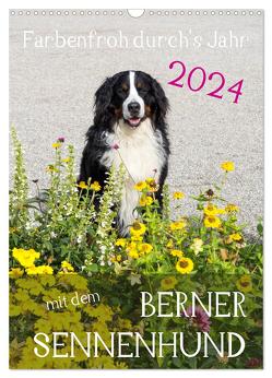Farbenfroh durch’s Jahr mit dem Berner Sennenhund (Wandkalender 2024 DIN A3 hoch), CALVENDO Monatskalender von Brenner,  Sonja