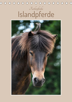 Farbenfrohe Islandpferde (Tischkalender 2023 DIN A5 hoch) von Kohrt,  Stephanie