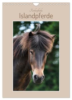 Farbenfrohe Islandpferde (Wandkalender 2024 DIN A4 hoch), CALVENDO Monatskalender von Kohrt,  Stephanie