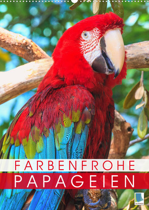 Farbenfrohe Papageien (Wandkalender 2023 DIN A2 hoch) von CALVENDO