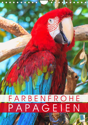 Farbenfrohe Papageien (Wandkalender 2023 DIN A4 hoch) von CALVENDO