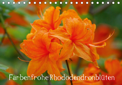 Farbenfrohe Rhododendronblüten (Tischkalender 2021 DIN A5 quer) von kattobello