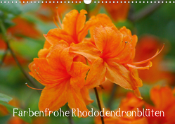 Farbenfrohe Rhododendronblüten (Wandkalender 2021 DIN A3 quer) von kattobello