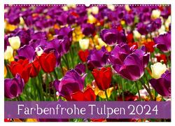 Farbenfrohe Tulpen 2024 (Wandkalender 2024 DIN A2 quer), CALVENDO Monatskalender von Vartzbed,  Klaus