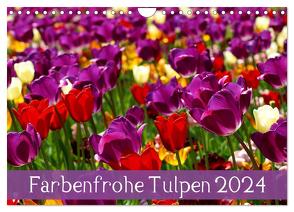 Farbenfrohe Tulpen 2024 (Wandkalender 2024 DIN A4 quer), CALVENDO Monatskalender von Vartzbed,  Klaus