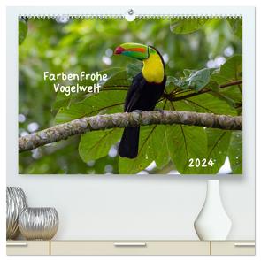 Farbenfrohe Vogelwelt (hochwertiger Premium Wandkalender 2024 DIN A2 quer), Kunstdruck in Hochglanz von Springer,  Marion