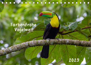 Farbenfrohe Vogelwelt (Tischkalender 2023 DIN A5 quer) von Springer,  Marion
