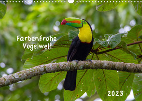 Farbenfrohe Vogelwelt (Wandkalender 2023 DIN A3 quer) von Springer,  Marion