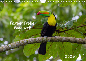 Farbenfrohe Vogelwelt (Wandkalender 2023 DIN A4 quer) von Springer,  Marion