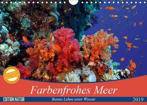 Farbenfrohes Meer (Wandkalender 2019 DIN A4 quer) von Gruse,  Sven
