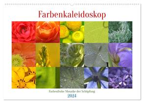 Farbenkaleidoskop (Wandkalender 2024 DIN A2 quer), CALVENDO Monatskalender von Wolf,  Heiko