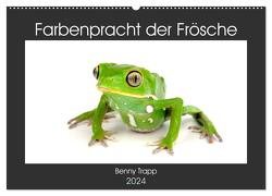 Farbenpracht der Frösche (Wandkalender 2024 DIN A2 quer), CALVENDO Monatskalender von Trapp,  Benny
