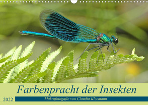 Farbenpracht der Insekten (Wandkalender 2022 DIN A3 quer) von Kleemann,  Claudia