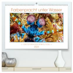 Farbenpracht unter Wasser (hochwertiger Premium Wandkalender 2024 DIN A2 quer), Kunstdruck in Hochglanz von Gödecke,  Dieter
