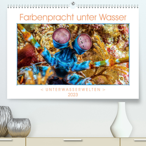 Farbenpracht unter Wasser (Premium, hochwertiger DIN A2 Wandkalender 2023, Kunstdruck in Hochglanz) von Gödecke,  Dieter