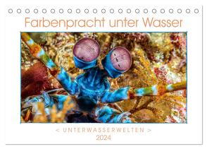 Farbenpracht unter Wasser (Tischkalender 2024 DIN A5 quer), CALVENDO Monatskalender von Gödecke,  Dieter