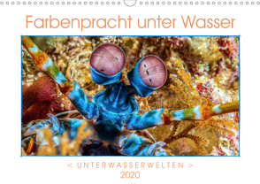 Farbenpracht unter Wasser (Wandkalender 2020 DIN A3 quer) von Gödecke,  Dieter